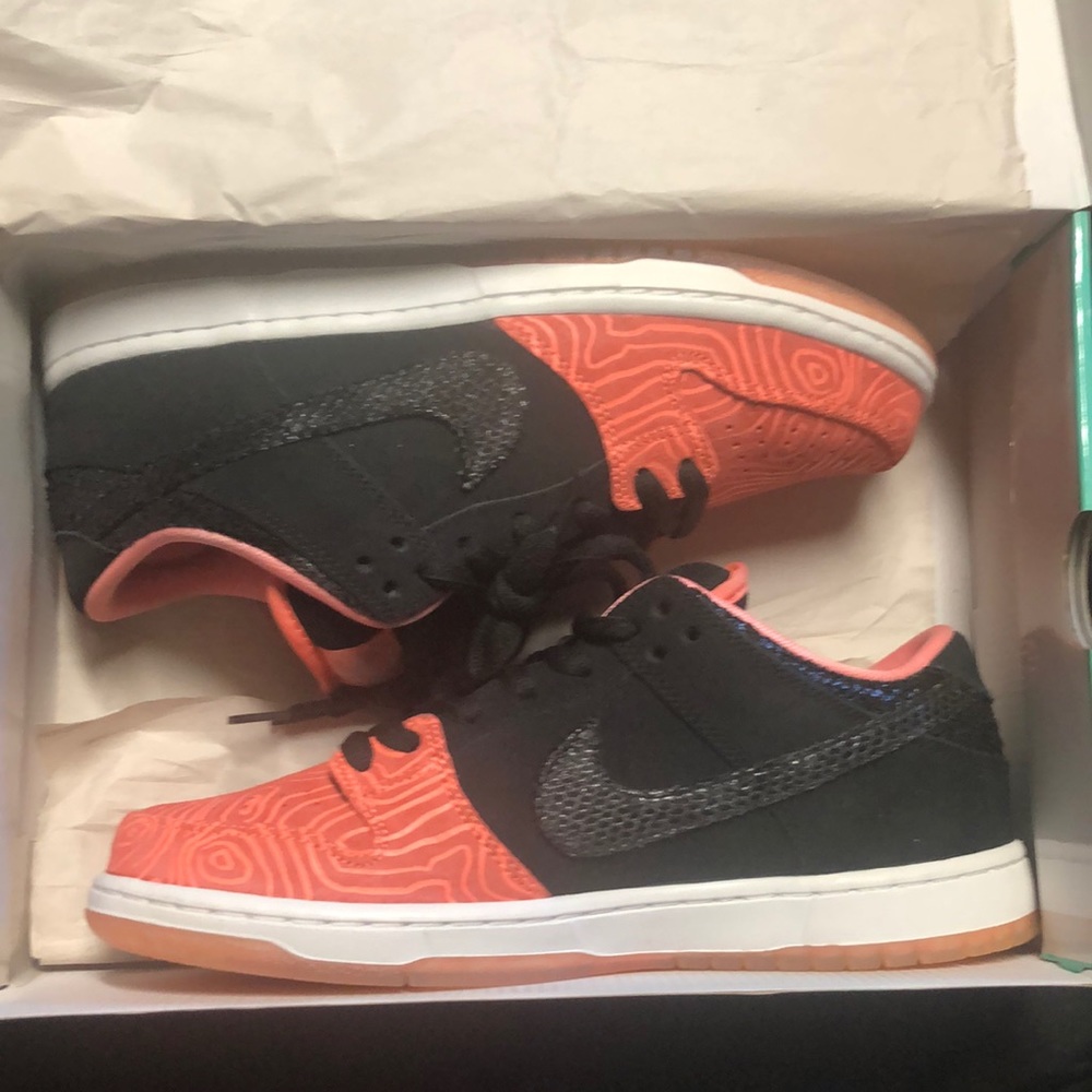 Nike SB Fishladder Deadstock with box